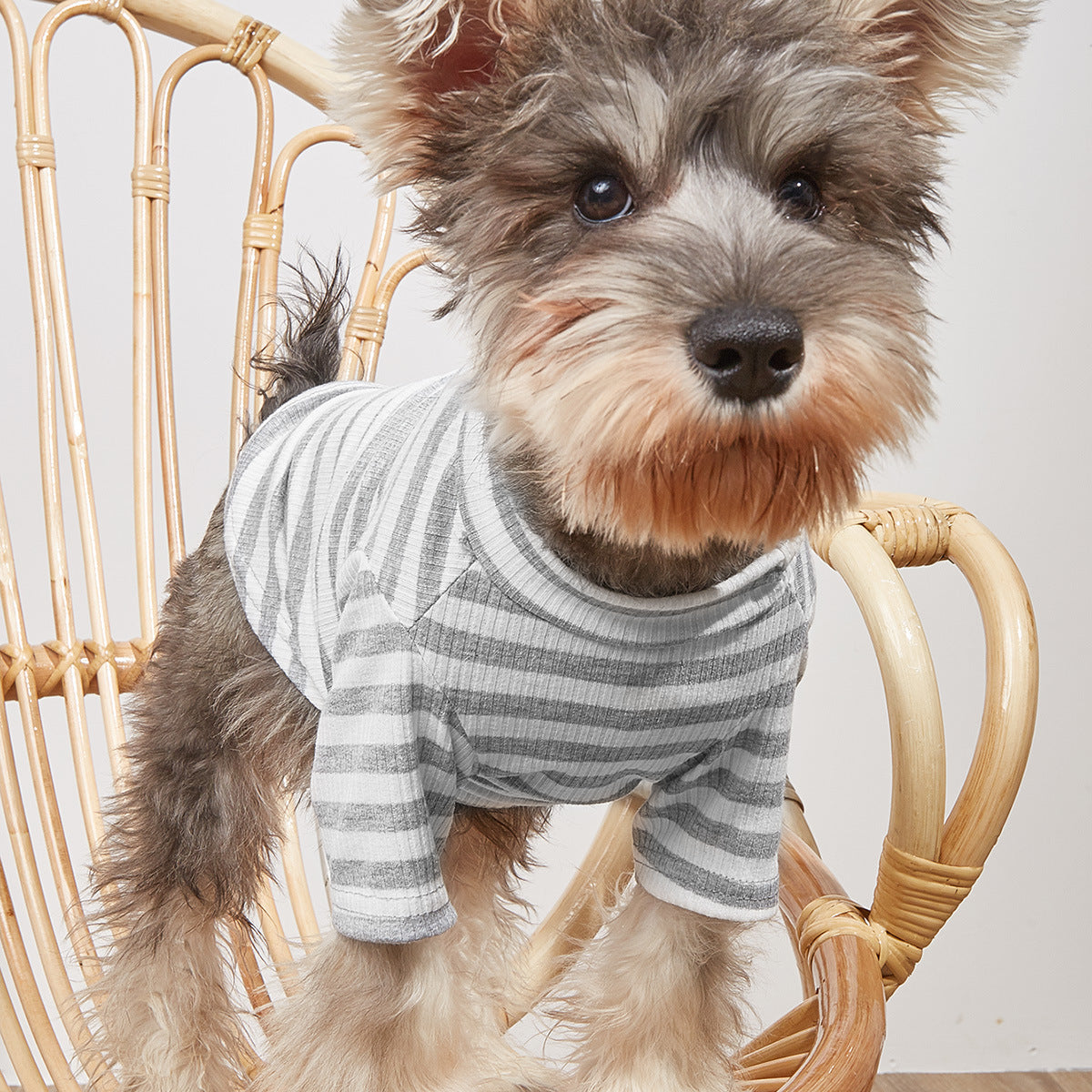 New Pet Clothes Spring And Summer Striped T-Shirt Cute Style Pomeranian VIP Puppy Clothing