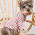 New Pet Clothes Spring And Summer Striped T-Shirt Cute Style Pomeranian VIP Puppy Clothing