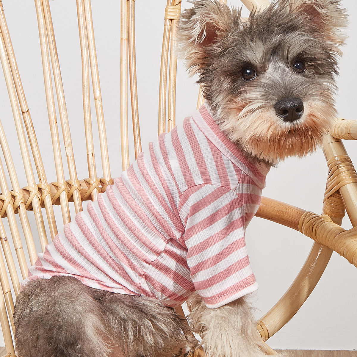 New Pet Clothes Spring And Summer Striped T-Shirt Cute Style Pomeranian VIP Puppy Clothing