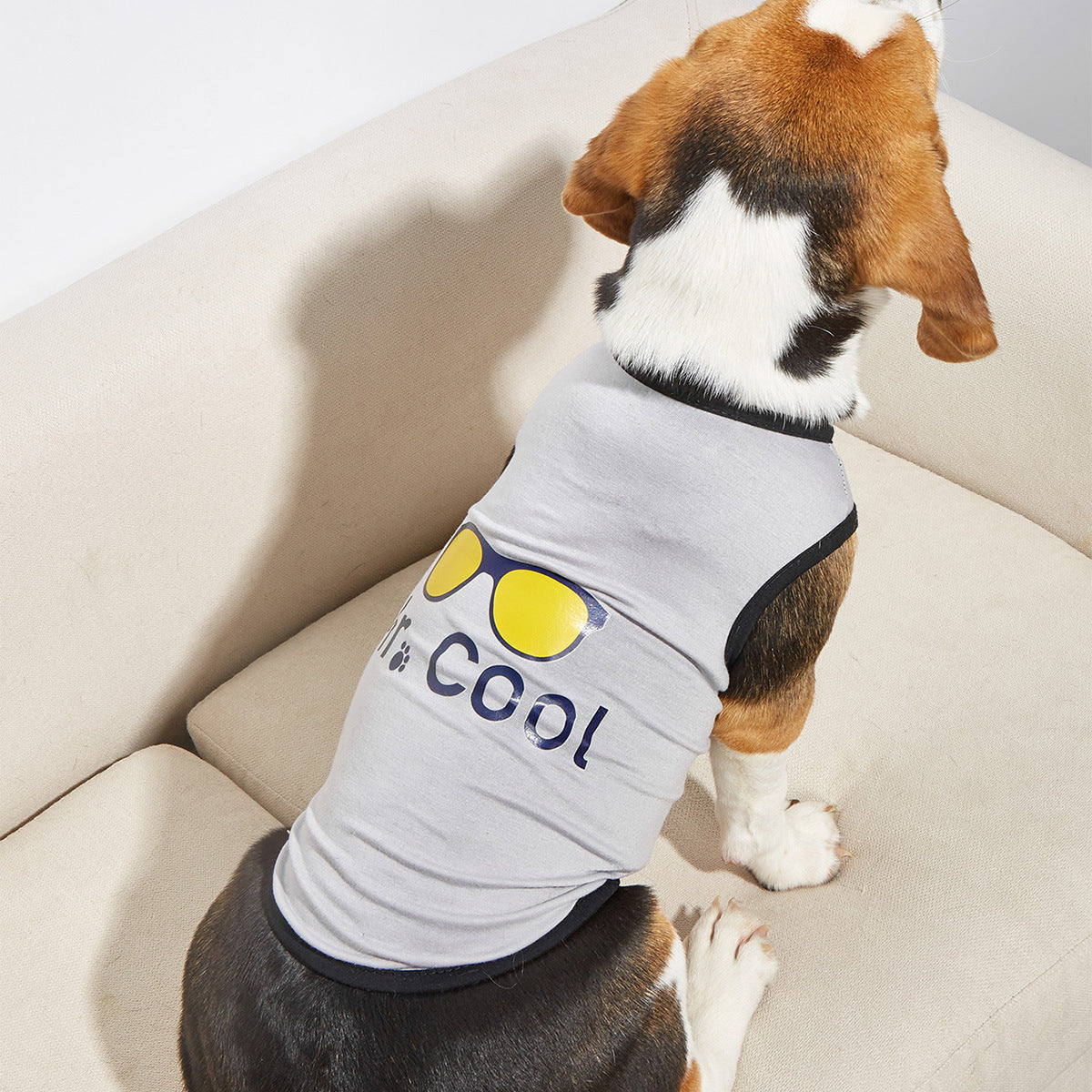 New Dog Clothing Clothing Pet Clothes Spring And Summer Vest Glasses Thin Section T-Shirt French Bucket Teddy Supplies
