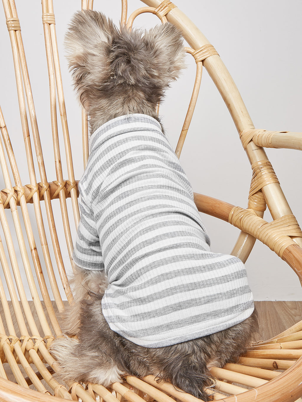 New Pet Clothes Spring And Summer Striped T-Shirt Cute Style Pomeranian VIP Puppy Clothing