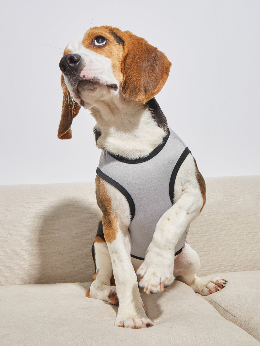 New Dog Clothing Clothing Pet Clothes Spring And Summer Vest Glasses Thin Section T-Shirt French Bucket Teddy Supplies