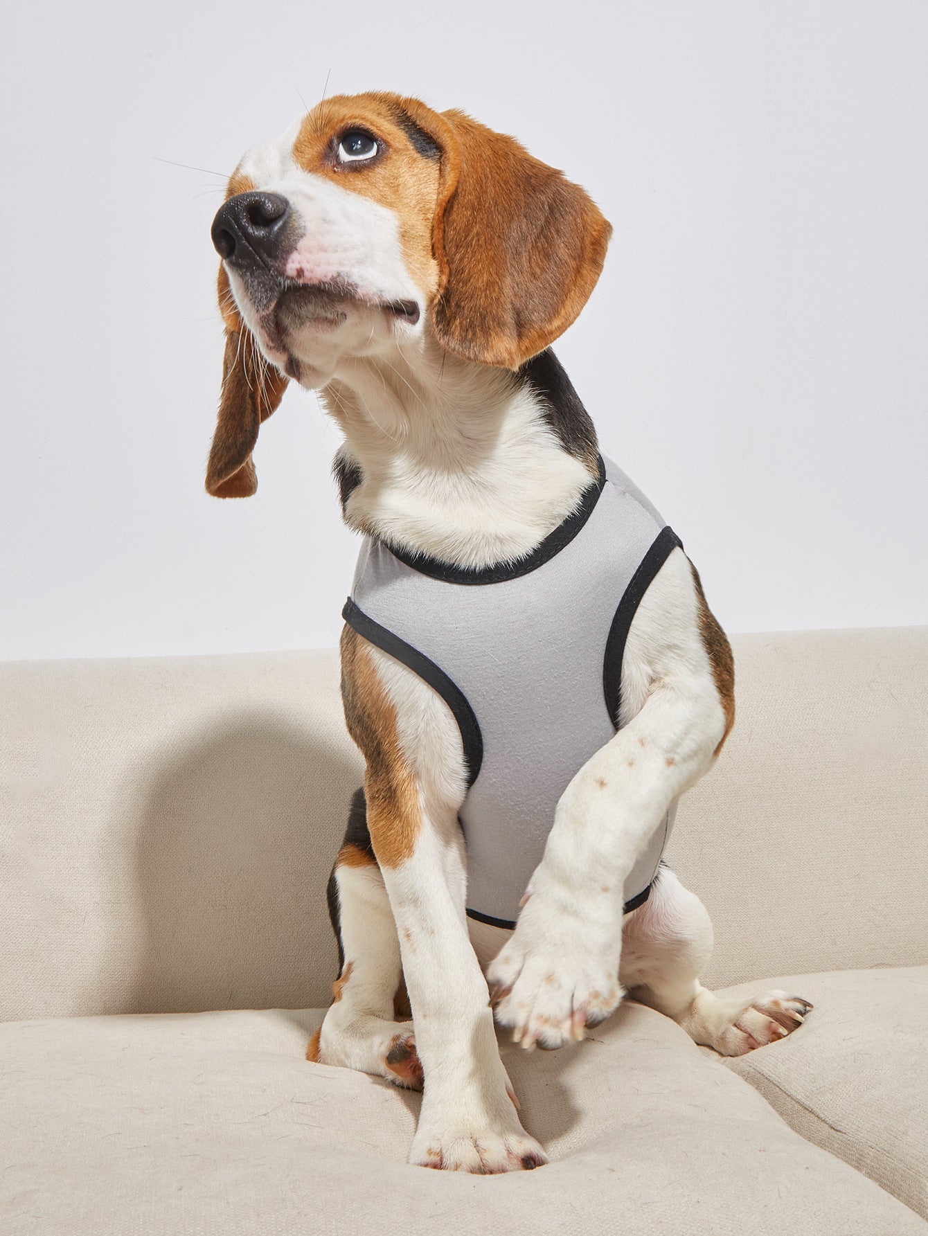 New Dog Clothing Clothing Pet Clothes Spring And Summer Vest Glasses Thin Section T-Shirt French Bucket Teddy Supplies