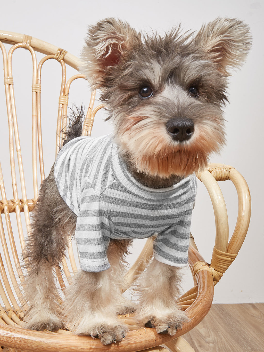 New Pet Clothes Spring And Summer Striped T-Shirt Cute Style Pomeranian VIP Puppy Clothing
