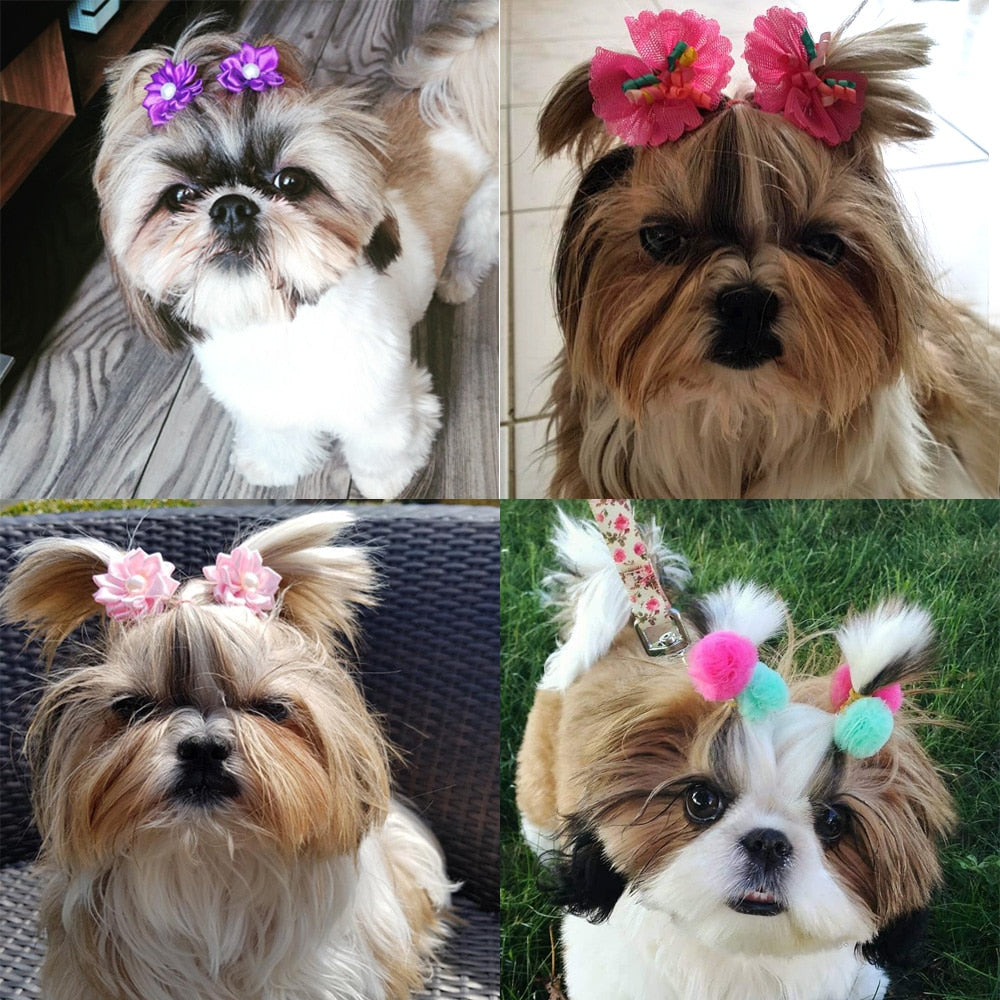 10PCS Christmas Dog Hair Bows for Puppy Yorkshirk Small Dogs Hair Accessories Grooming Bows Halloween Dog Bows Pet Supplies