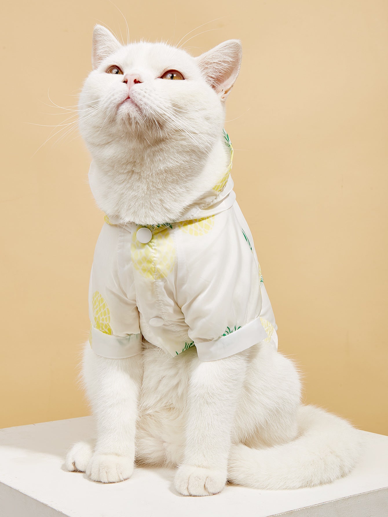 Summer New Pet Cat Supplies Shirt Dog Sun Protection Clothing With Hood Thin Section Breathable Fruit Printing Sun Protection Clothing